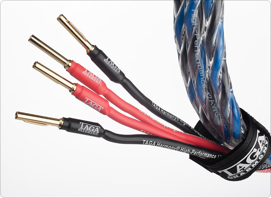 Taga Harmony AZURE-12-2C - cecha 2